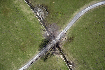 Image showing Field and Meadows