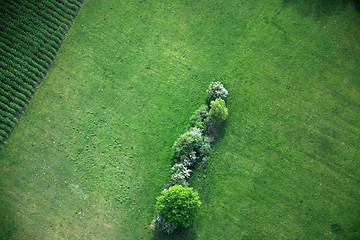 Image showing Fields and Meadows, Brandenburg, Germany