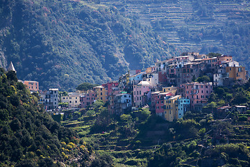 Image showing Corniglia, Cinque Terre, Italy