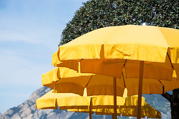 Image showing Yellow Parasol