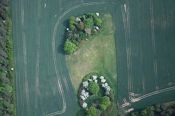 Image showing Fields and Meadows, Brandenburg, Germany