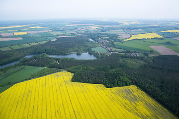 Image showing Rape Field