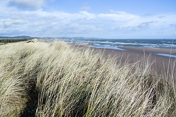 Image showing East Coast Scotland, UK