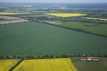 Image showing Rape Field
