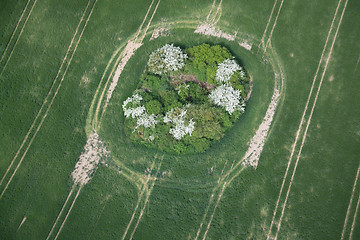 Image showing Fields and Meadows, Brandenburg, Germany