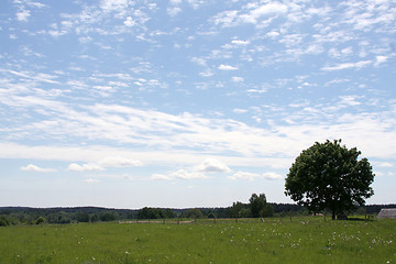 Image showing Landscape