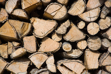 Image showing Fuelwood