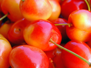 Image showing Double color cherries