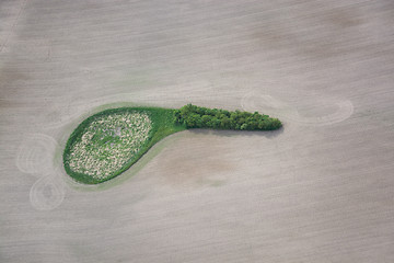 Image showing Fields and Meadows, Brandenburg, Germany