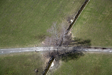 Image showing Field and Meadows