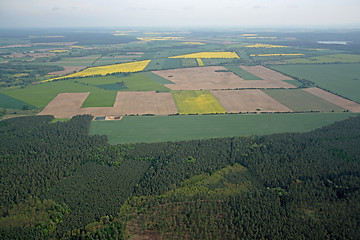 Image showing Fields and Meadows, Brandenburg, Germany