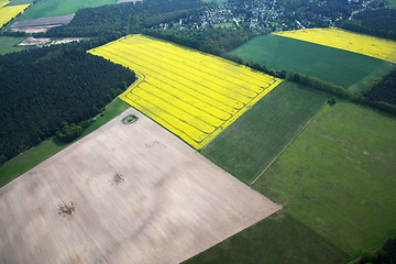 Image showing Rape Field