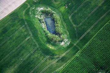 Image showing Fields and Meadows, Brandenburg, Germany