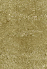 Image showing Leather