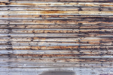 Image showing Texture of wood background closeup