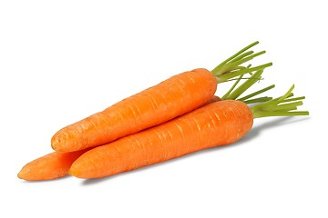 Image showing Three fresh carrots