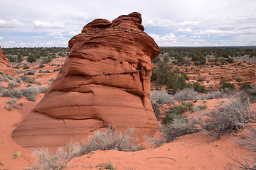 Image showing Coyote Buttes South, Utah, USA