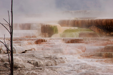 Image showing Yellowstone National Park, USA