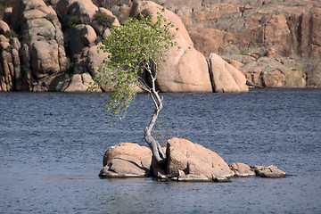 Image showing Watson Lake Park, Arizona, USA