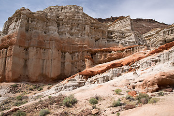 Image showing Antelope Valley Poppy Reserve, California, USA