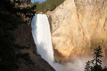 Image showing Yellowstone National Park, USA