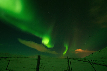 Image showing Aurora Borealis