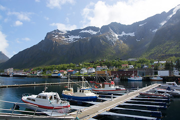 Image showing Gryllefjord, Senja, Norway