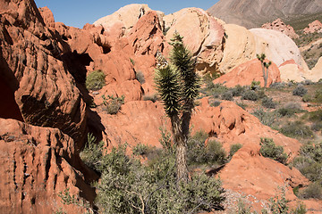 Image showing Whitney Pocket, Nevada, USA