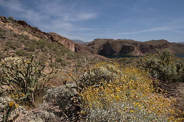 Image showing Theodore Roosevelt Lake, Arizona, USA