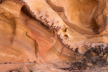 Image showing Whitney Pocket, Nevada, USA