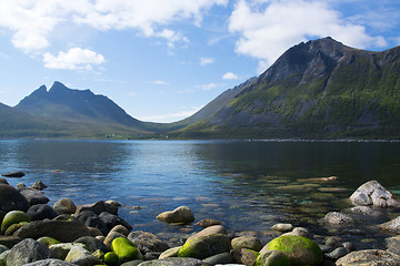 Image showing Gryllefjord, Senja, Norway