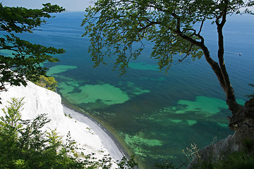 Image showing Mons Klint, Denmark