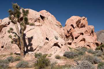 Image showing Whitney Pocket, Nevada, USA