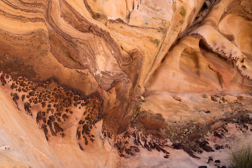 Image showing Whitney Pocket, Nevada, USA