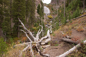 Image showing Yellowstone National Park, USA