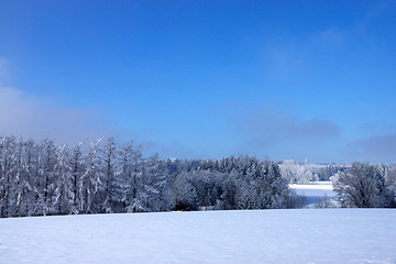 Image showing Ica Age in Muelheim, Bavaria, Germany