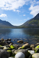 Image showing Gryllefjord, Senja, Norway