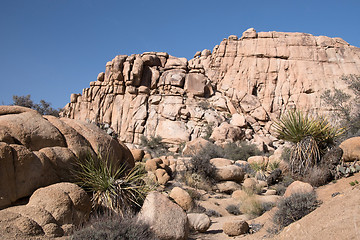 Image showing Joshua Tree National Park, California, USA