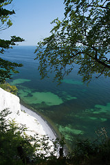 Image showing Mons Klint, Denmark