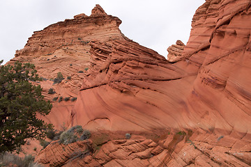 Image showing Coyote Buttes South, Utah, USA