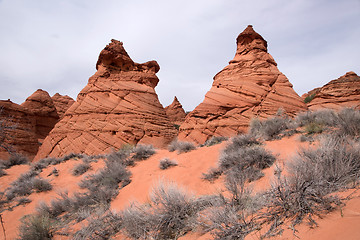 Image showing Coyote Buttes South, Utah, USA