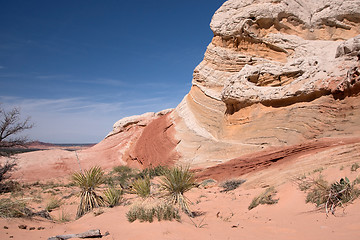 Image showing White Pocket Canyon, Arizona, USA