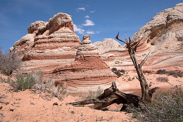 Image showing White Pocket Canyon, Arizona, USA