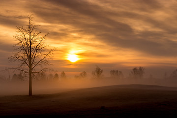 Image showing Morning Fog