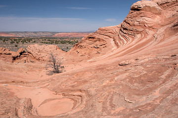 Image showing White Pocket Canyon, Arizona, USA