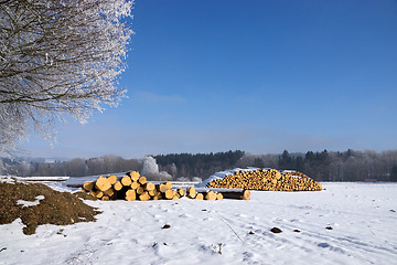 Image showing Round Wood