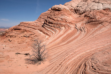 Image showing White Pocket Canyon, Arizona, USA