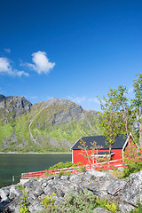 Image showing Gryllefjord, Senja, Norway