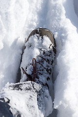 Image showing Shoe in Snow