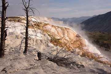 Image showing Yellowstone National Park, USA